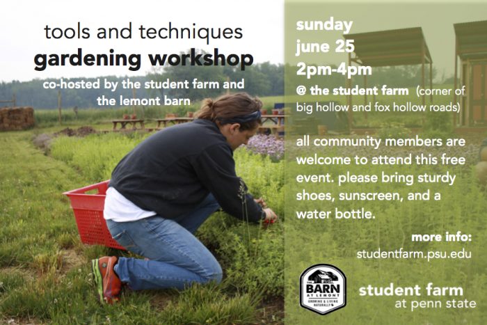 Tools and Techniques gardening workshop