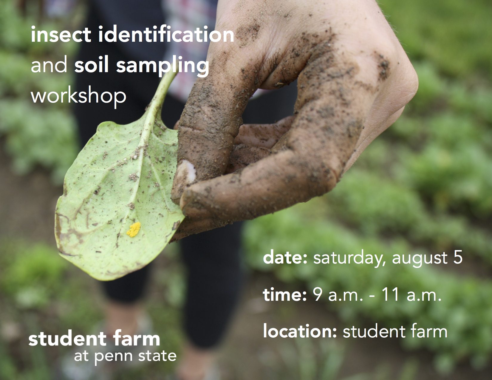 Insect Identification and Soil Sampling workshop