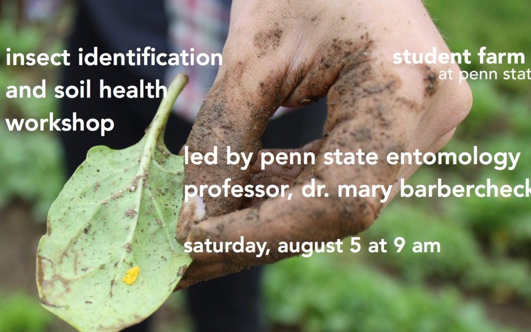 Insect Identification and Soil Health workshop