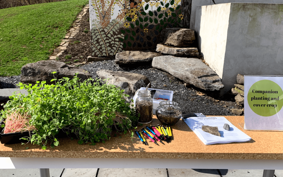 Beginner Gardener Workshop 2019