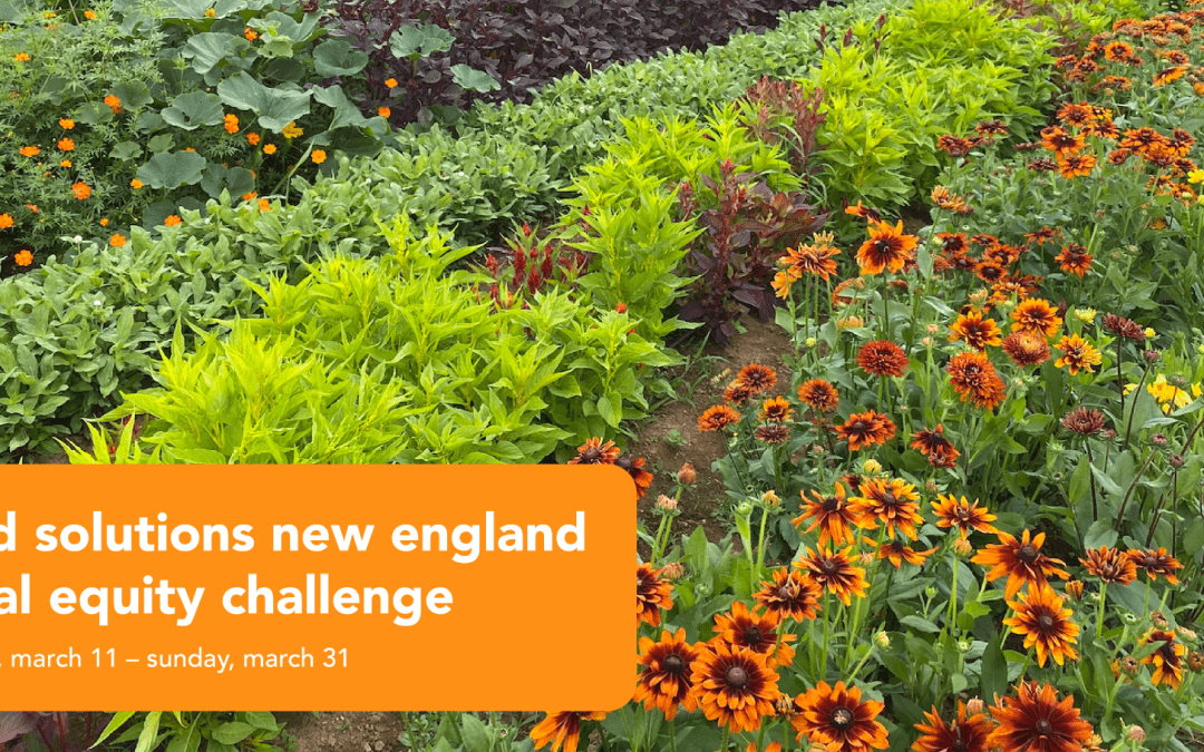 Food Solutions New England Racial Equity Challenge